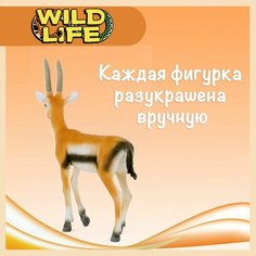 Фигурка "Газель Томсона" Schleich Wild Life/ для детей от 3 лет/ Шляйх 14861