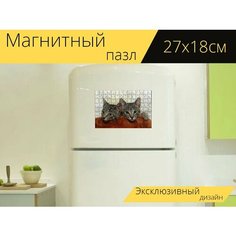 Магнитный пазл "Кот, домашняя кошка, два" на холодильник 27 x 18 см. Lots Prints