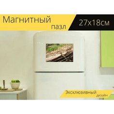 Магнитный пазл "Ящерица, игуана, азия" на холодильник 27 x 18 см. Lots Prints