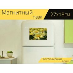 Магнитный пазл "Ромашки, желтый, цветок" на холодильник 27 x 18 см. Lots Prints