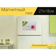 Магнитный пазл "Тюльпан, цвести, розовый" на холодильник 27 x 18 см. Lots Prints