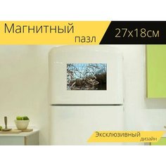 Магнитный пазл "Дикорастущее растение, озеро, сухой" на холодильник 27 x 18 см. Lots Prints