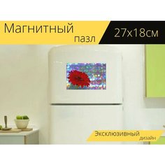 Магнитный пазл "Гербера, цветок, цвести" на холодильник 27 x 18 см. Lots Prints