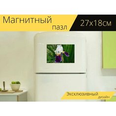 Магнитный пазл "Ирис, белый, желтый" на холодильник 27 x 18 см. Lots Prints