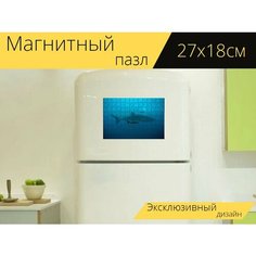 Магнитный пазл "Кит, пахло, нырять" на холодильник 27 x 18 см. Lots Prints