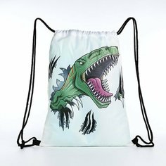 Мешок для обуви Динозавр, 32*0,5*40 см, отд на шнурке, белый 9824434 Сима ленд