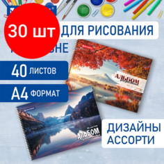 Комплект 30 шт, Альбом для рисования, А4, 40 листов, гребень, обложка картон, BRAUBERG, 195х285 мм, "Умиротворение", 106710