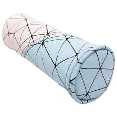 Пенал-тубус "Розово-голубая паутина" Проф Пресс