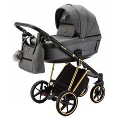 Универсальная коляска Adamex Belissa Special Edition (2 в 1), PS-562, цвет шасси: золотистый