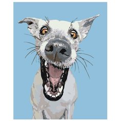 Картина по номерам, "Живопись по номерам", 40 x 50, A157, животное, бродячий, пёс, белый, удивления, зубы