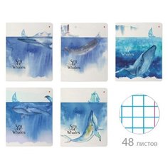 Тетради 48 листов "киты. акварель" 5 видов. Набор 5 шт. Цена за 5 штук. Bruno Visconti