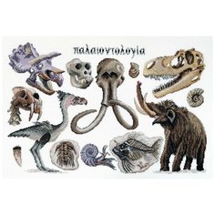 Набор для вышивания Палеонтология 45 х 30 см марья искусница 03.014.20
