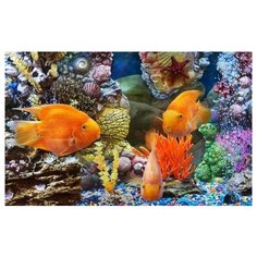 Алмазная мозаика Подводный мир 40x50 см. Molly