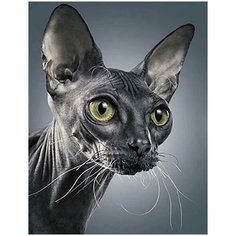 Алмазная мозаика Мистический сфинкс 50x65 см. Цветной