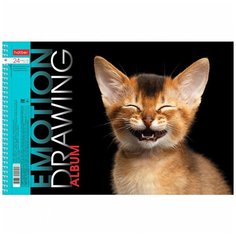 Альбом для рисования 24л А4ф перфорация на отрыв на спирали 5 дизайнов /цвет в ассортименте/альбом/для рисования / набор 5 шт Hatber