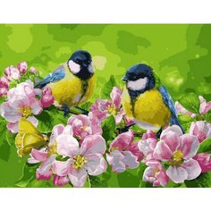 Картина по номерам Синицы в саду 40х50 см Hobby Home