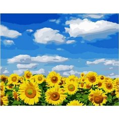 Картина по номерам Подсолнуховое поле 40х50 см Hobby Home