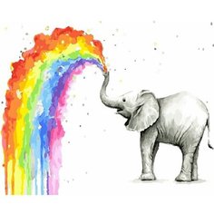 Картина по номерам Слон и радуга 40х50 см Hobby Home