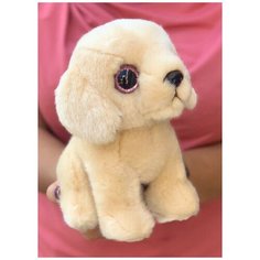 Мягкая игрушка "Лабрадор", 19 см, игрушка для детей, собака.