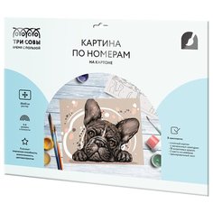 ТРИ СОВЫ картина по номерам Французский бульдог, 30 х 40 см, разноцветный