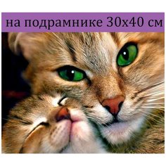 Алмазная мозаика на подрамнике 30х40 Котята, Алмазная вышивка на подрамнике 40х30, алмазная живопись набор с круглыми стразами, полная выкладка Стиль для Дома