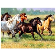 Алмазная мозаика на холсте с подрамником (картина стразами, алмазная вышивка) Табун лошадей 40x50 см. Boom Boom Shop