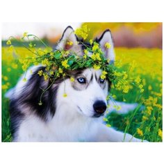 Алмазная мозаика 40x50 см. на холсте с подрамником (картина стразами, алмазная вышивка) Хаска с венком 40x50 см. Boom Boom Shop