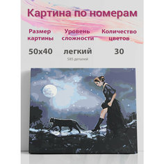 Картина по номерам на стену "Ведьма" Раскрасим сами