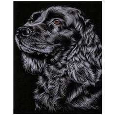 Картина по номерам Кокер-спаниель 40х50 см АртТойс