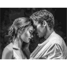 Картина по номерам Любовь и страсть 40х50 см АртТойс