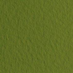 Fabriano Бумага для пастели "Tiziano" 160г/м2 50x65см оливковый, 10л