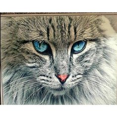 Алмазная мозаика Взгляд ТвОриКа