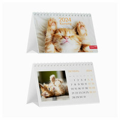 Календарь-домик 160*105мм, Грейт Принт "Котята", на гребне, 2024г, 362096
