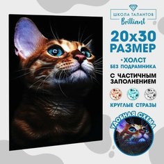 Алмазная мозаика с частичным заполнением «Взгляд кошки» 20х30 см, на холсте Школа талантов