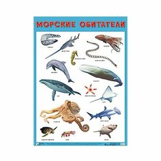 Плакат 978-5-43151-706-8 Морские обитатели. Развивающие плакаты Мозаика Синтез