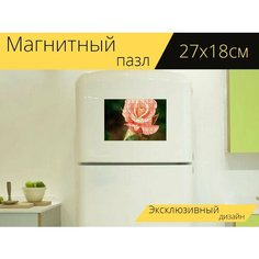 Магнитный пазл "Роза, цветок, завод" на холодильник 27 x 18 см. Lots Prints