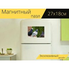Магнитный пазл "Голуби, гонки, голубиные гонки" на холодильник 27 x 18 см. Lots Prints
