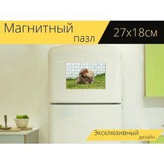 Магнитный пазл "Щенок, собака, померанский шпиц" на холодильник 27 x 18 см. Lots Prints