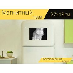 Магнитный пазл "Кошка, мейнкун, feline" на холодильник 27 x 18 см. Lots Prints