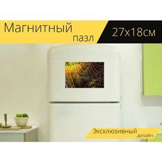 Магнитный пазл "Сеть, роса, паутина" на холодильник 27 x 18 см. Lots Prints