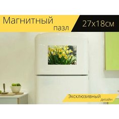Магнитный пазл "Нарциссы, весенние цветы, весна" на холодильник 27 x 18 см. Lots Prints