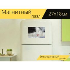 Магнитный пазл "Кот, домашнее животное, черно белая кошка" на холодильник 27 x 18 см. Lots Prints