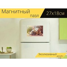Магнитный пазл "Бульдог, собака, домашний питомец" на холодильник 27 x 18 см. Lots Prints