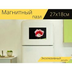 Магнитный пазл "Цветок, лепестки, двуцветный" на холодильник 27 x 18 см. Lots Prints