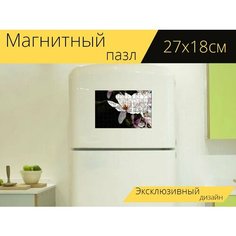 Магнитный пазл "Магнолия, цвести, белый" на холодильник 27 x 18 см. Lots Prints