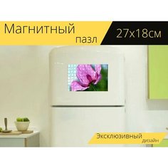 Магнитный пазл "Мак, фиолетовый, цветок мака" на холодильник 27 x 18 см. Lots Prints