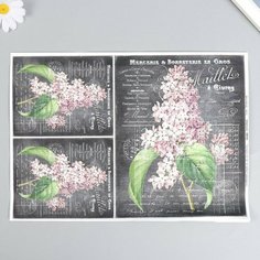 Декупажная карта "Сирень" плотность 45г/м2, формат А4, 5 штук Noname