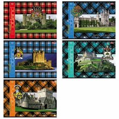Альбом 21х29,7 см (А-4), 40 листов, 100 гр/м2, на скрепке, Шотландка с замками, артикул 40А4В Hatber