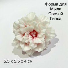 Силиконовая форма для мыла Кларкия 3D, для свечей гипса 1шт 5,5 x 5,5 х 4 см Нет бренда