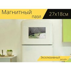 Магнитный пазл "Утка, кряква, парк" на холодильник 27 x 18 см. Lots Prints